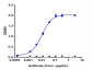 Anti-FcRn (FCGRT & B2M) Reference Antibody (rozanolixizumab)